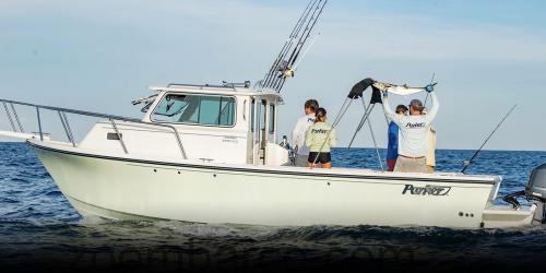 Parker 2820 XLD Sport Cabin ficha tecnica